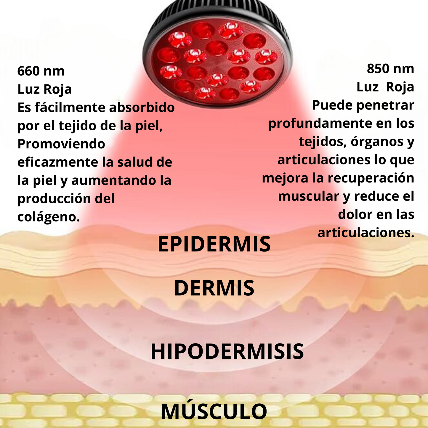 Lampara Infrarroja Terapeutica