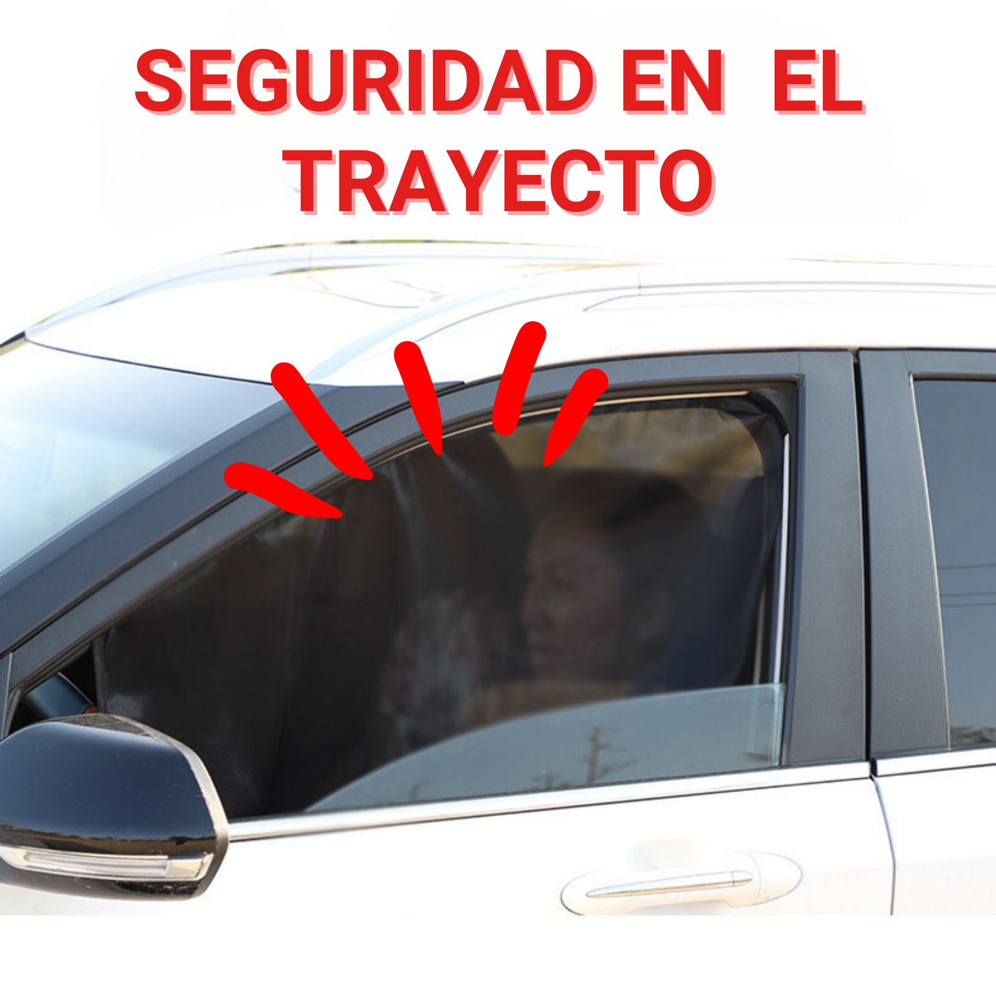 PACK VIAJERO 🏜️ LENTES VISIÓN HD 😎 + MALLA PARA AUTO 🚗